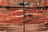 Tall, Arizona Petrified Wood Bookends - Red & Black #195140-1